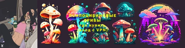 гидра Мегион