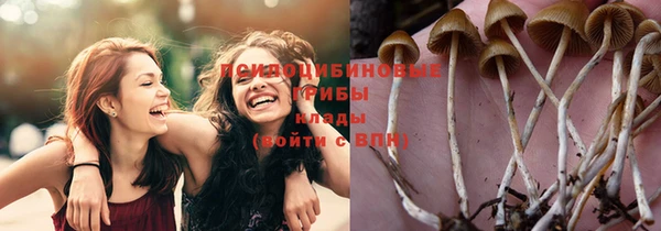 ПСИЛОЦИБИНОВЫЕ ГРИБЫ Медвежьегорск