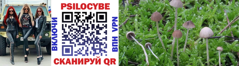 Купить где  Дзержинск  Галлюциногенные грибы Psilocybine cubensis 