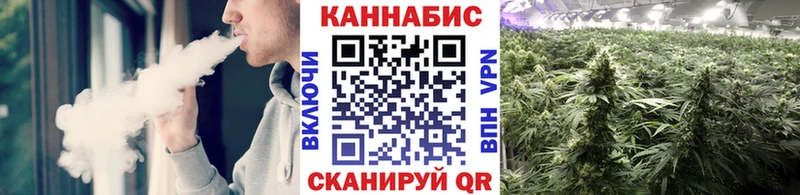 Каннабис White Widow  Купить  Дзержинск 